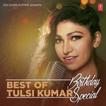 Best Of Tulsi Kumar - Birthday Special - Mithoon Song Download